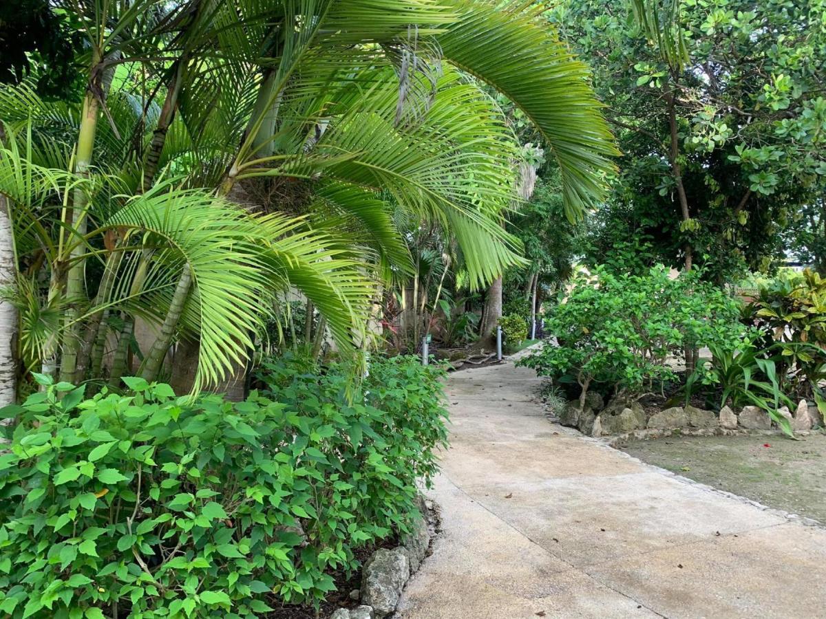 Villas Bakalar Bacalar Buitenkant foto