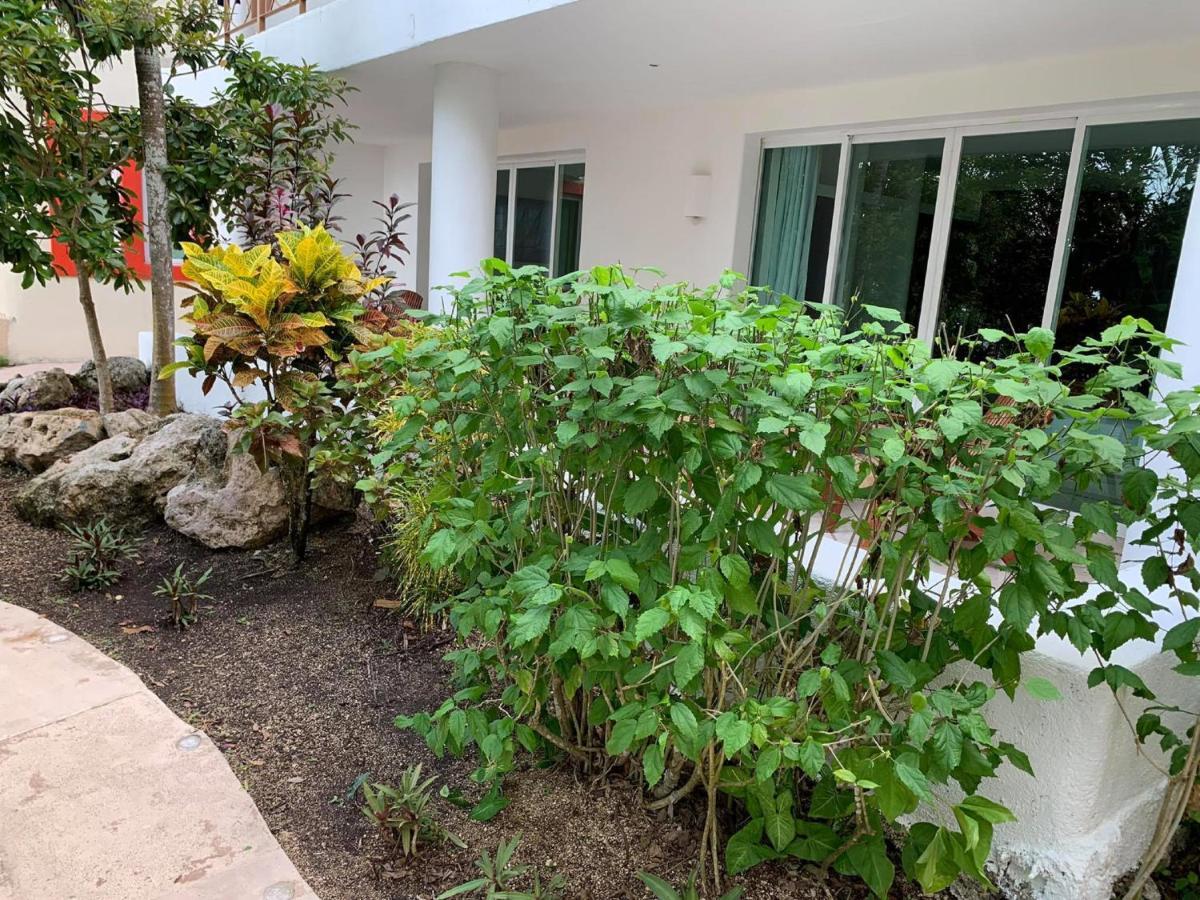Villas Bakalar Bacalar Buitenkant foto